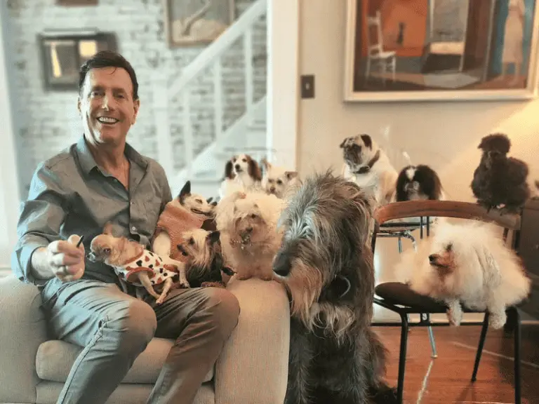 Mann adoptiert nur ältere Hunde, die niemand mehr haben will