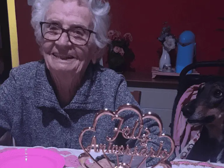 89 Jahre und kein bisschen einsam: Wie eine Großmutter mit ihren 10 Hunden das Leben feiert!