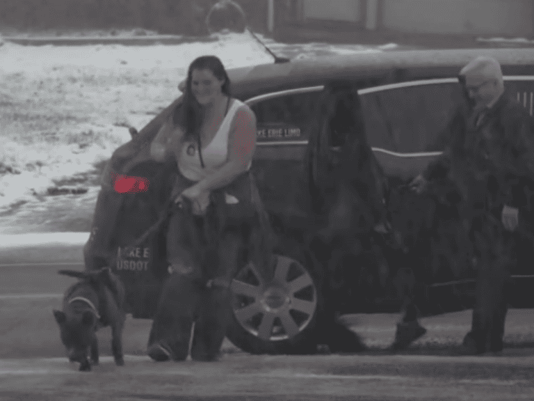 Endlich Zuhause: Ein Pitbull verlässt das Tierheim nach 600 Tagen in einer Limousine