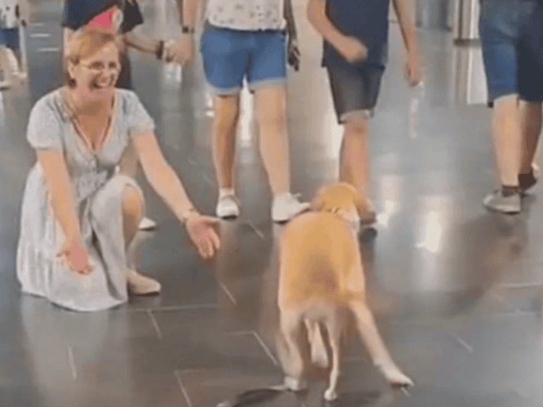 Ein Hund tanzt vor Glück, als er seine Großeltern wieder sieht