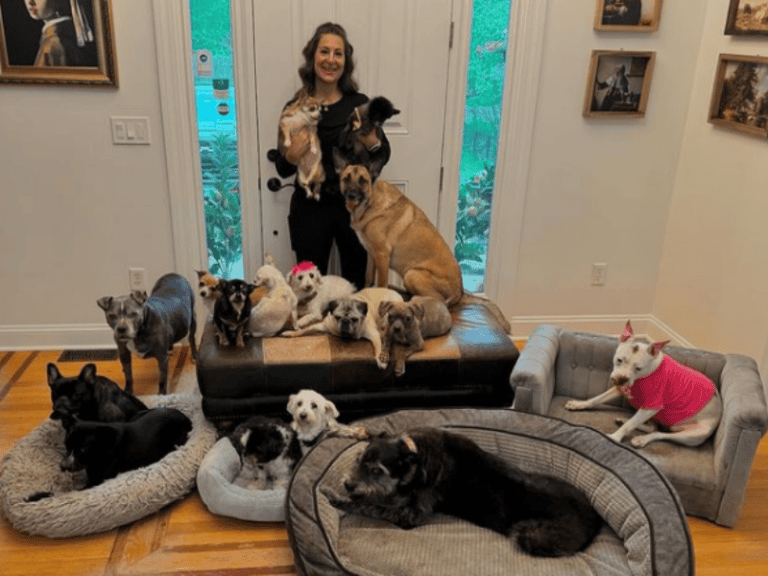 couple with 19 dogs have one thing in common