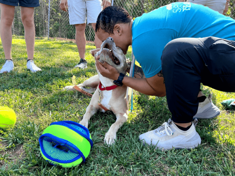 Familie besucht schüchternen Tierheimhund