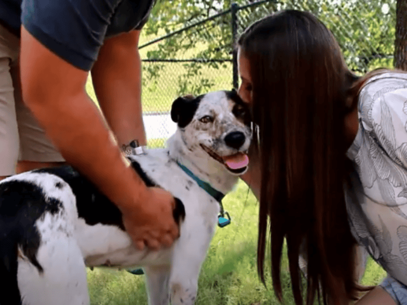 Hund bekommt viele Küsse von seinen neuen Besitzern