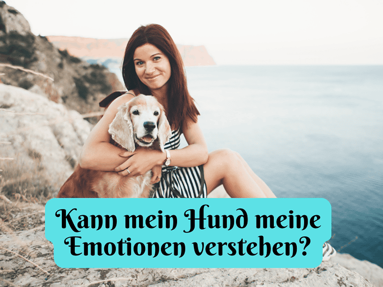 Kann mein Hund wirklich meine Emotionen verstehen?