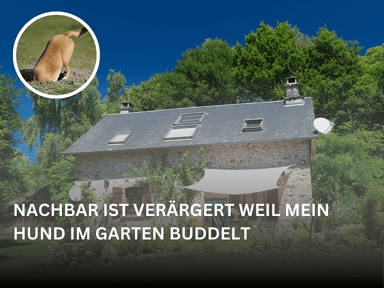 hund gräbt im garten