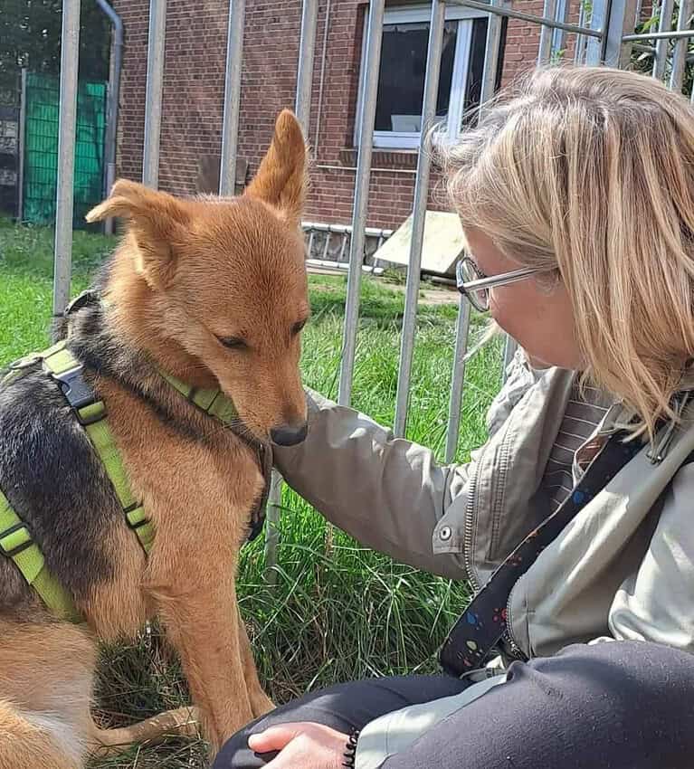 YUKI  Pfiffiges Hasenherz sucht…