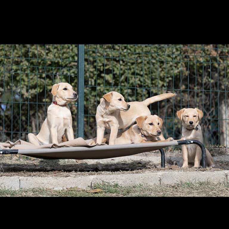 4 Geschwister suchen ihren Traum Platz