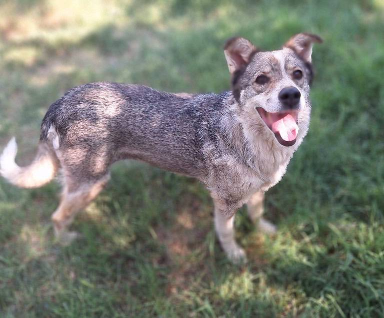 Betty mit großem Herz (E)