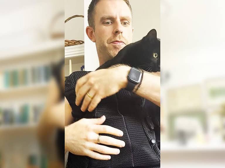 Dominante Katzen erklären komplettes Babyzimmer zu ihrem Territorium