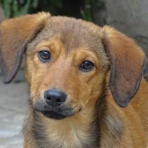 Baby LARA 2 sucht Familie