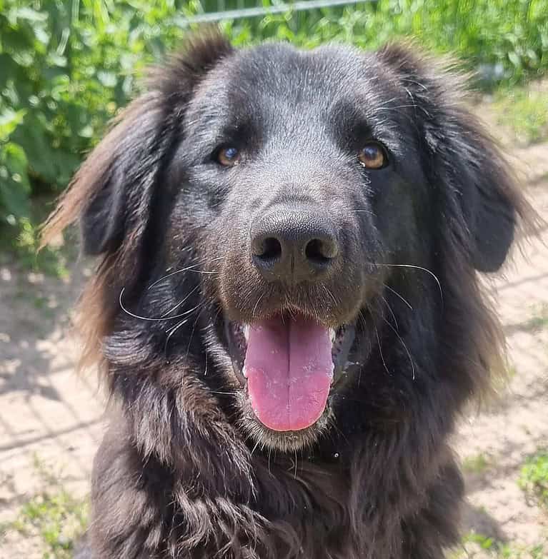 Ben