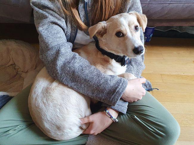 Elfi, süßes Mixmädchen