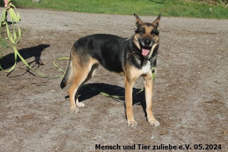 Klara wartet auf ihr Glück