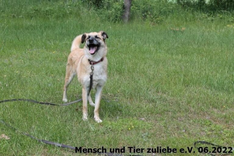 Super lieb zu Allen