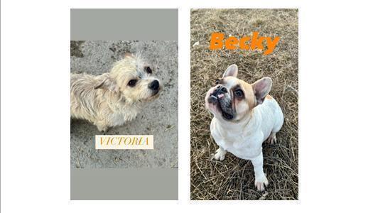 Becky und Victoria