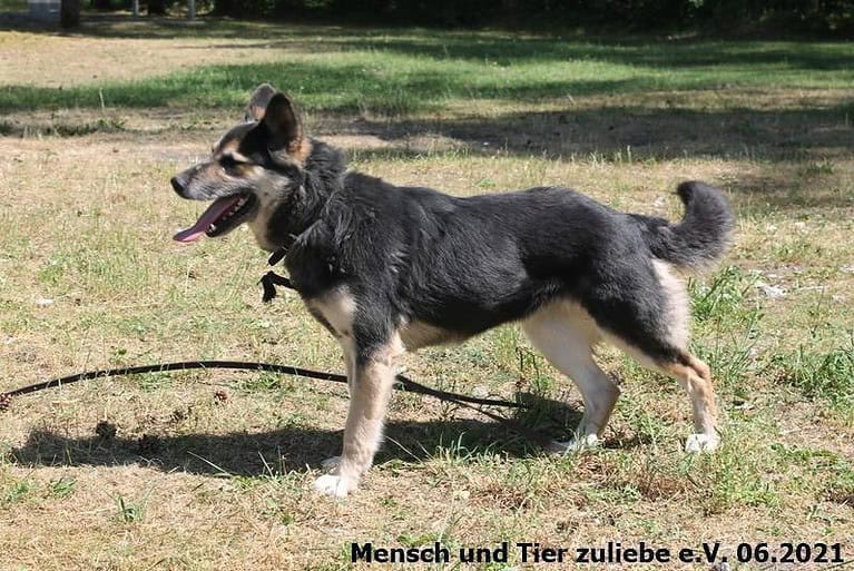 Alina möchte endlich ein Zuhause