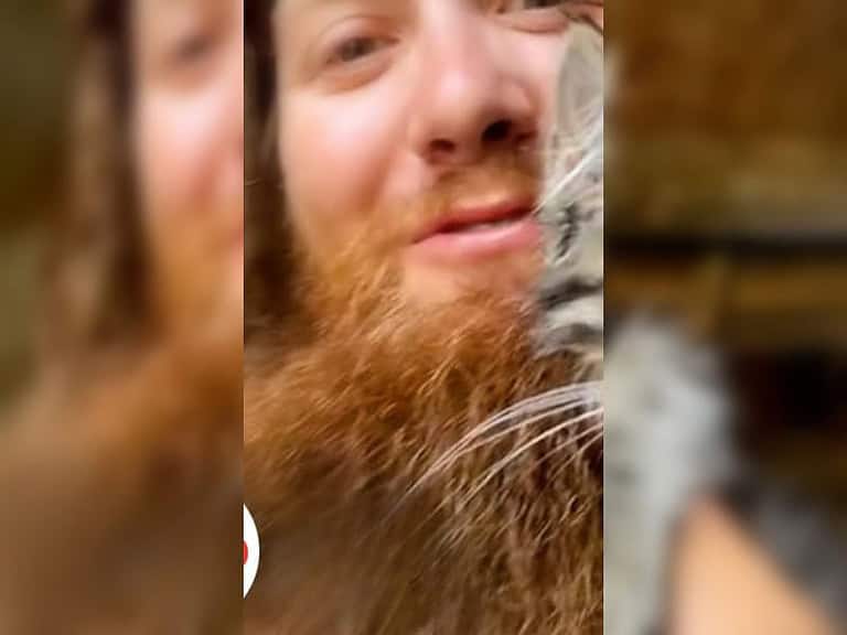 Ausgesetzte Katze verwandelt Jordans Schuppen in Ort des Glücks
