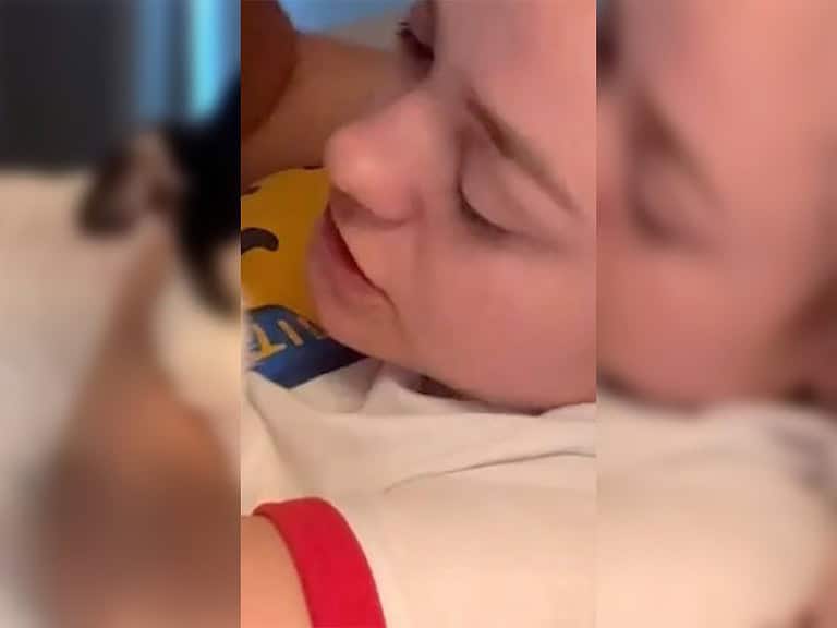 Blinder Chihuahua kämpft täglich um Orientierung in dunkler Welt