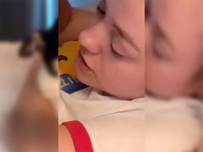Blinder Chihuahua kämpft täglich um Orientierung in dunkler Welt