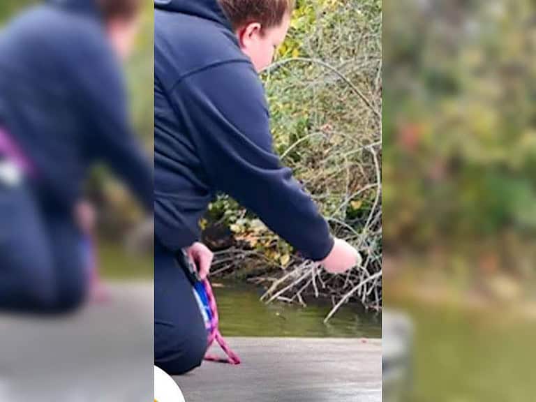Verängstigter Husky wartet zitternd auf eisigem Dock auf Rettung