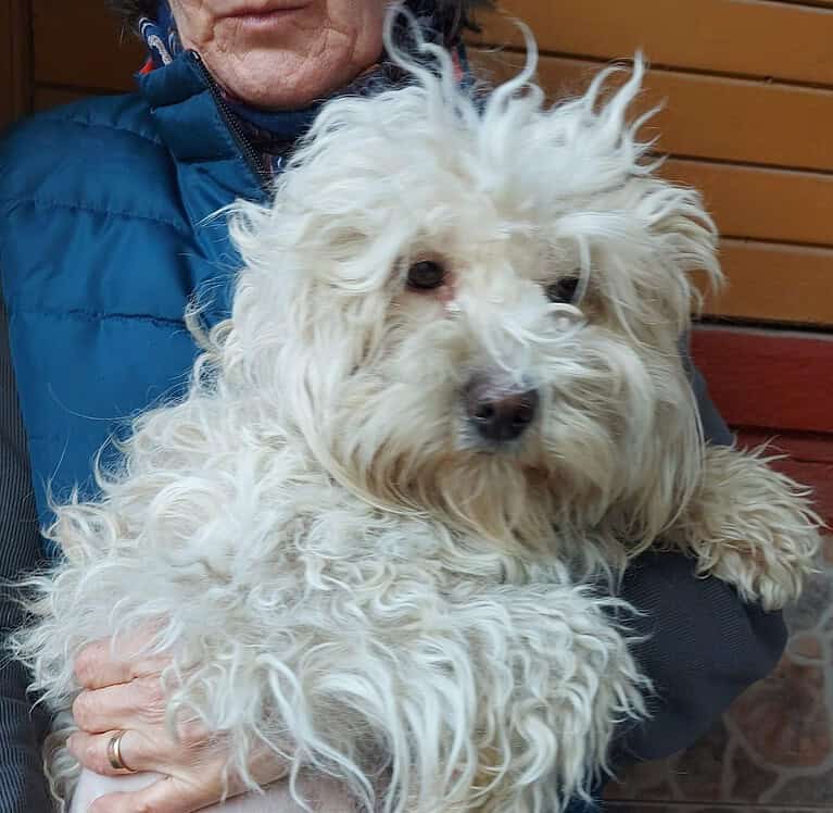 Belinda sucht ihre Menschen