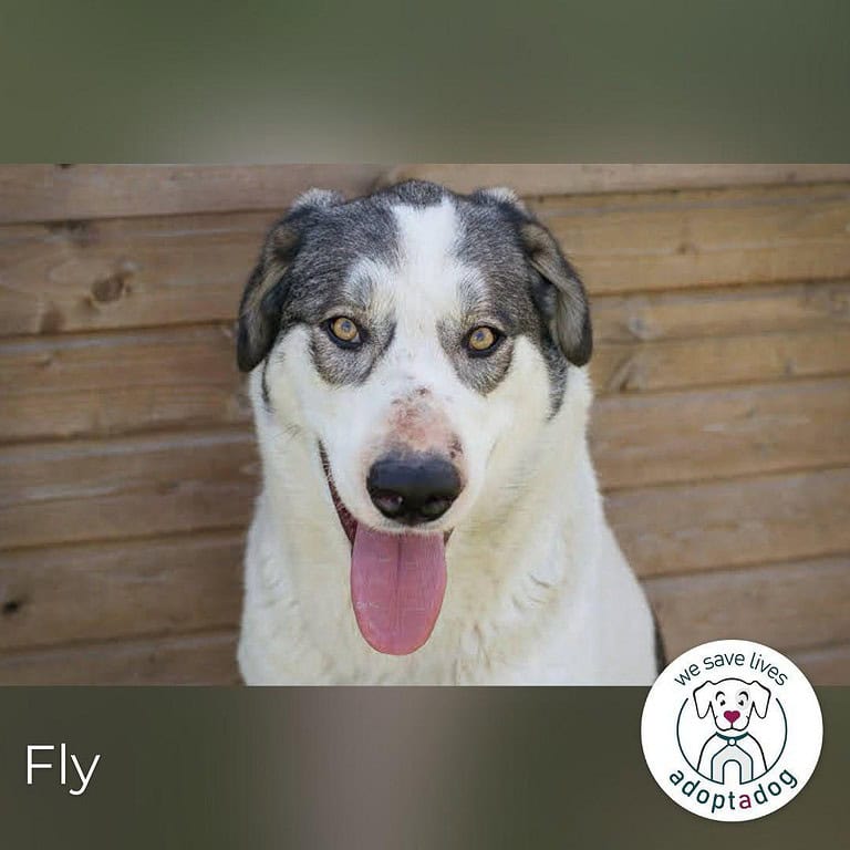 Fly – Bereit für ein Leben voller Liebe!