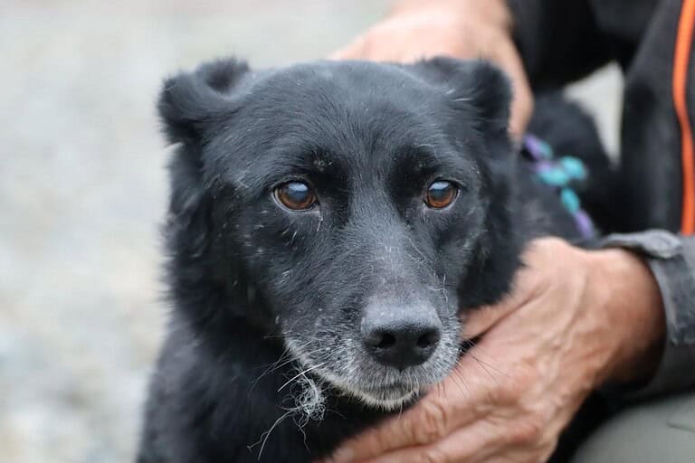 Wally – sehr liebenswert u. angenehm