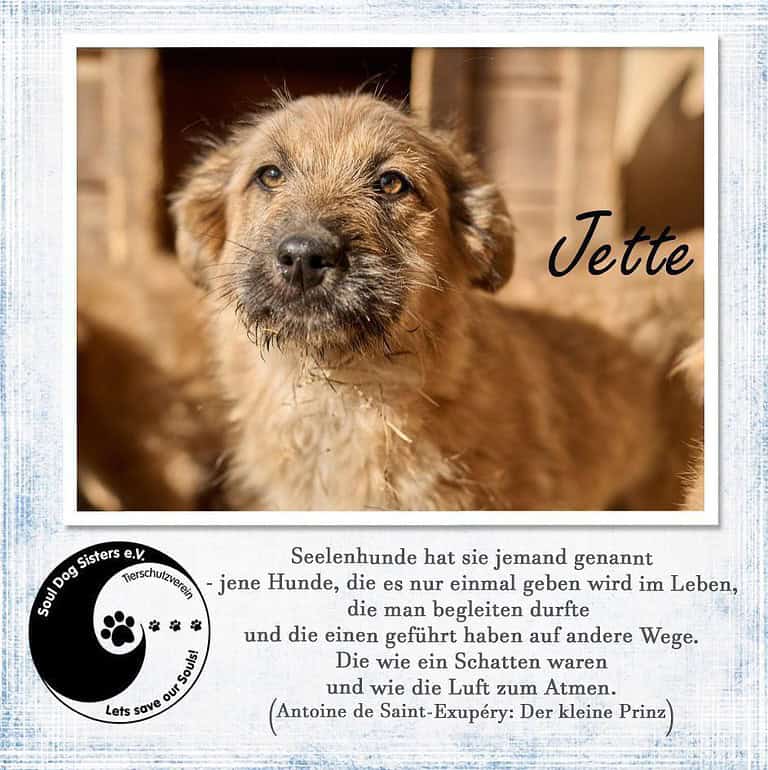 Jette sucht das Glück