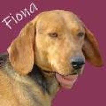 Wundervolle FIONA