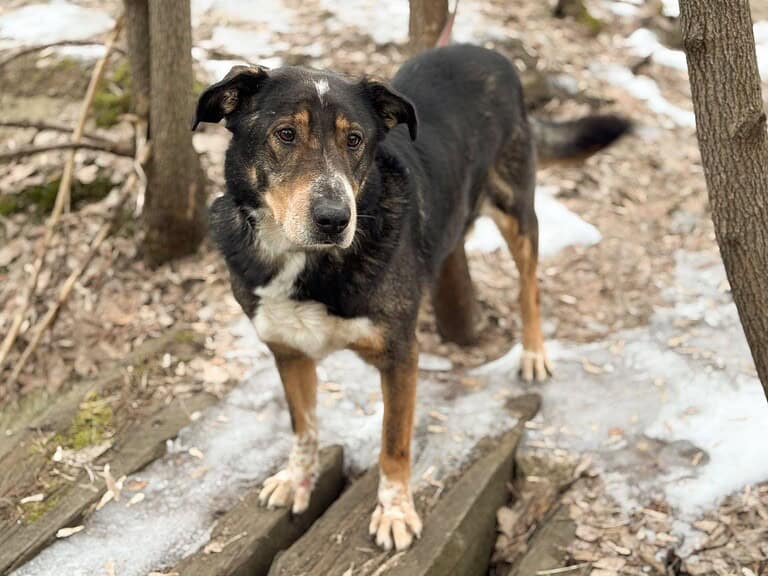LEVA-liebevolle Familue gesucht