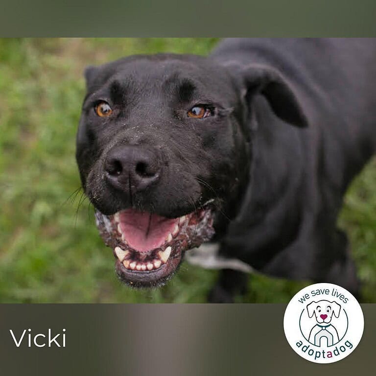 Vicki: Spielpartner gesucht!