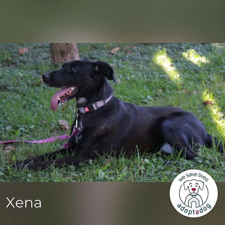 Xena: Ideal für Familien