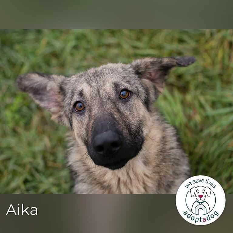 Aika: Fröhlicher Wirbelwind