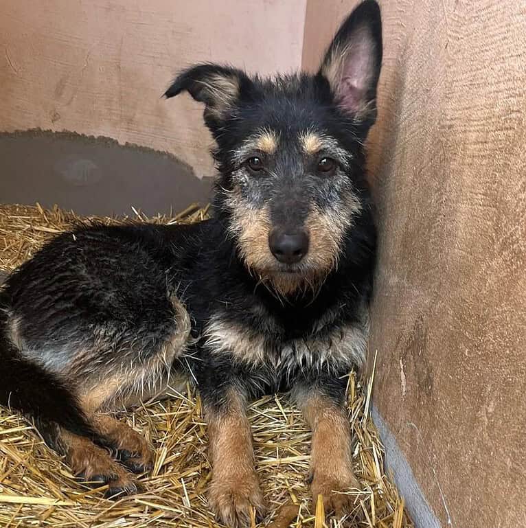 🆘 Max verliert die Hoffnung 🆘
