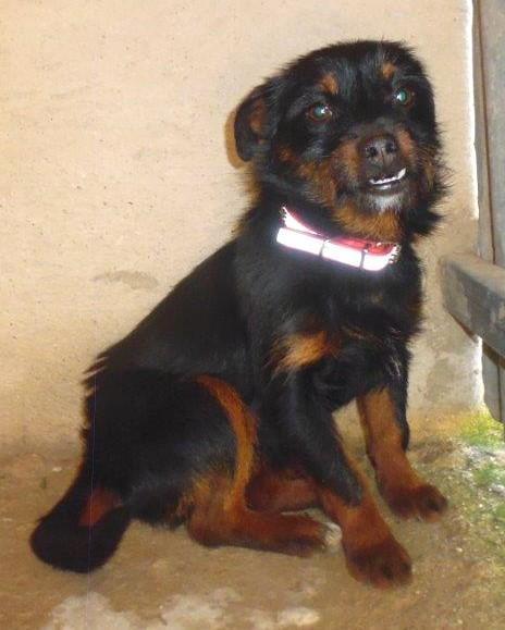 CORA