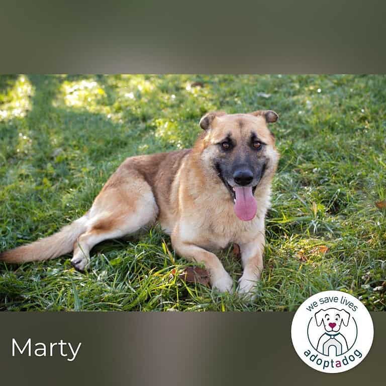 Marty sucht seine Menschen
