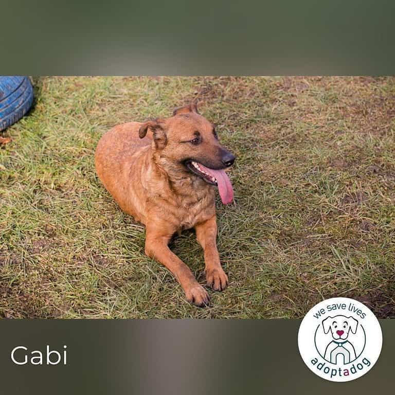 Gabi: Hat ihren Lebensmut wiedergefunden