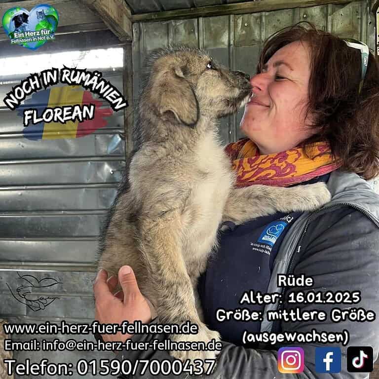 FLOREAN – hat noch 5 Geschwisterchen