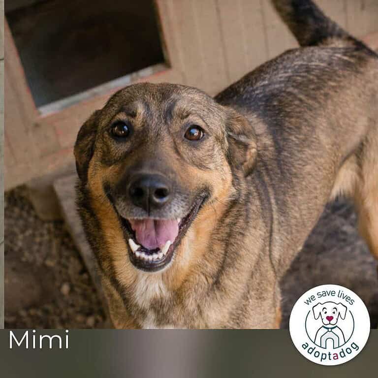 Mimi: Mit einem Lächeln ins Glück