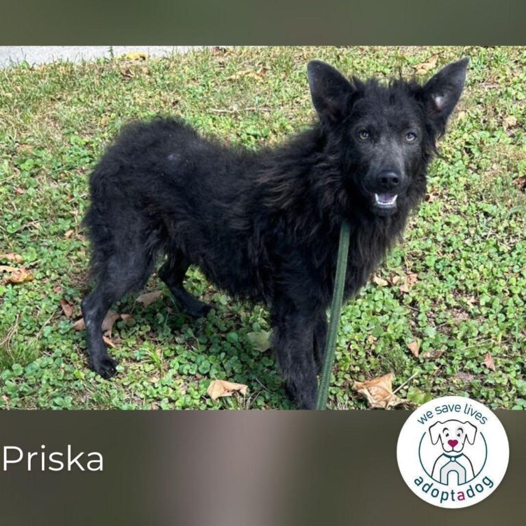 Priska: Für Menschen mit Herz
