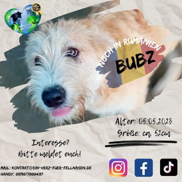 BUBZ – Erziehungsberechtige gesucht ;-)