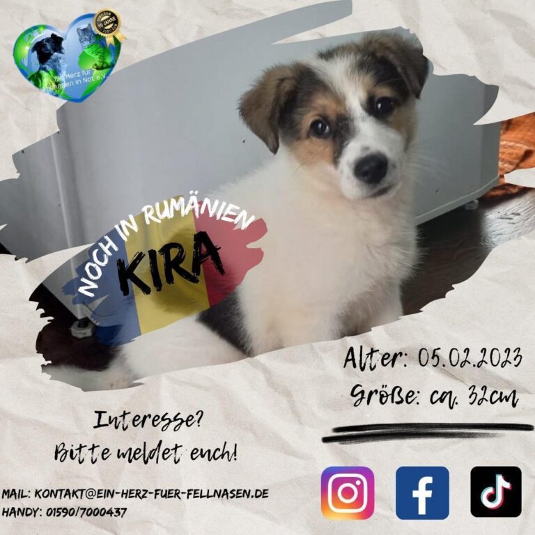 KIRA I – hast Du Platz in Deinem Herzen?