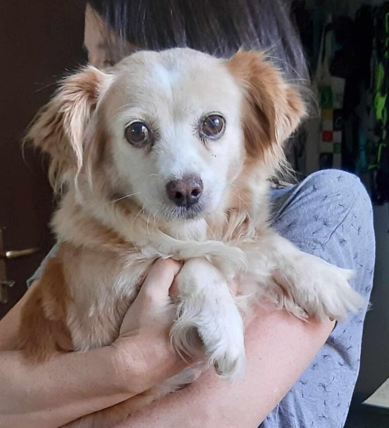 Mitzy