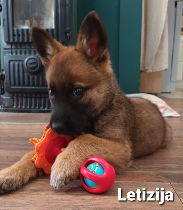 Letizija sucht Erziehungsberechtigte