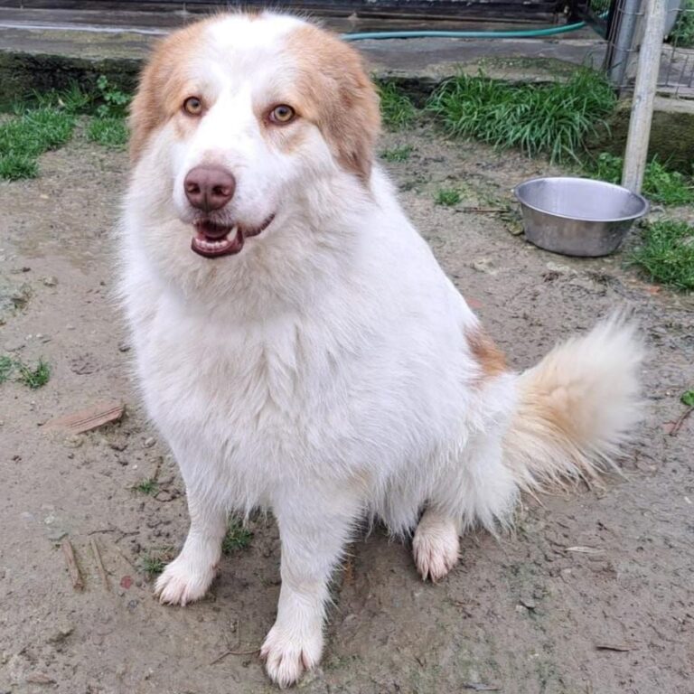 Molly3 neugierig, lustig und offen GRC