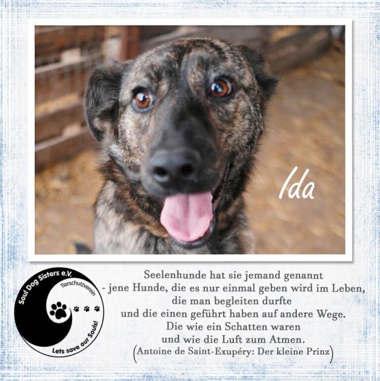 Ida sucht das Glück