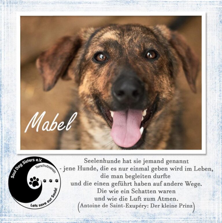 Mabel sucht das Glück