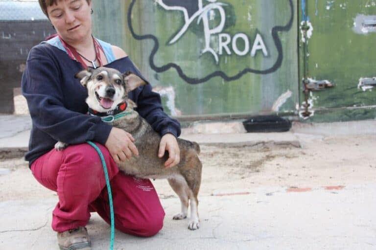 Shally, Mischling mit Handicap (blind)