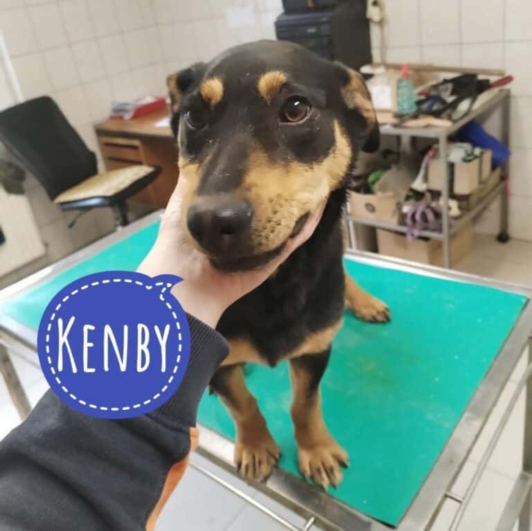 Kenby – ein Schatz zum lieb haben