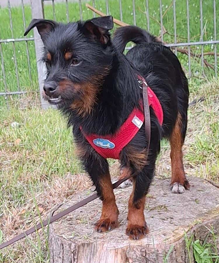 CORA